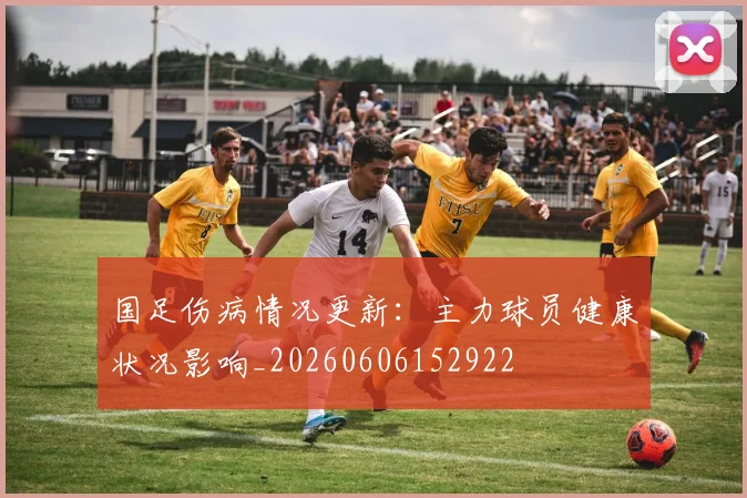 国足伤病情况更新：主力球员健康状况影响_20260606152922